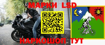 молекула духа Будённовск