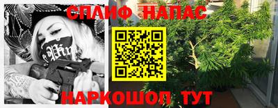 молекула духа Будённовск