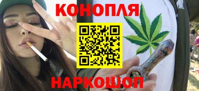 молекула духа Будённовск