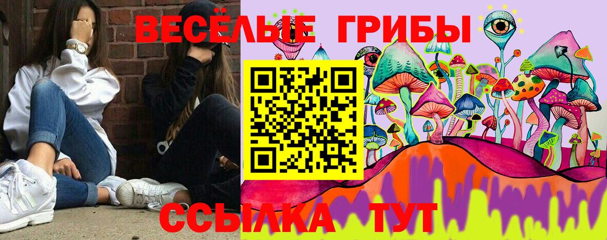 Сосновоборск  Псилоцибиновые грибы мицелий  Галлюциногенные грибы GOLDEN TEACHER  Вход с VPN 
