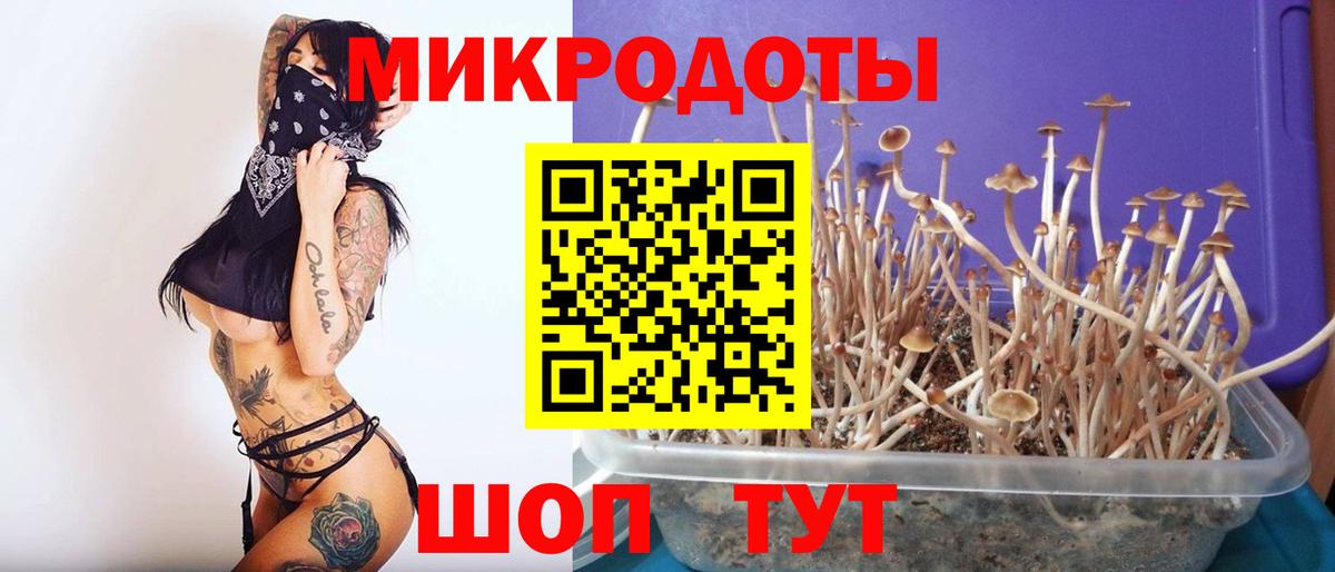 Псилоцибиновые грибы Cubensis Сосновоборск